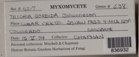 Image Associated With the Occurence